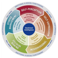 Emotional Intelligence (EQ-i)