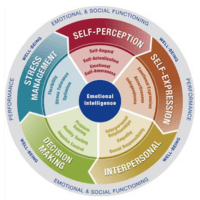 Emotional Intelligence (EQ-i)