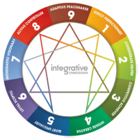 Integrative Enneagram (iEQ9)