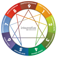 Integrative Enneagram (iEQ9)